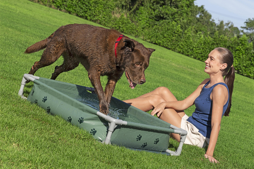 Bestway Dyrebasseng Fetchin' Fun 2-i-1