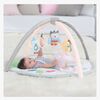 22033-9_Skip_Hop_Babygym_Treetop_Friends_Grey-Pastel_3a.jpg