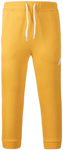 Didriksons Corin Powerstretch Bukse, Citrus Yellow