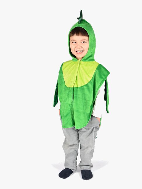 Den Goda Fen Kostyme Drage