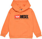 Diesel Sdivision Sweatshirt, Harvest Pumpkin