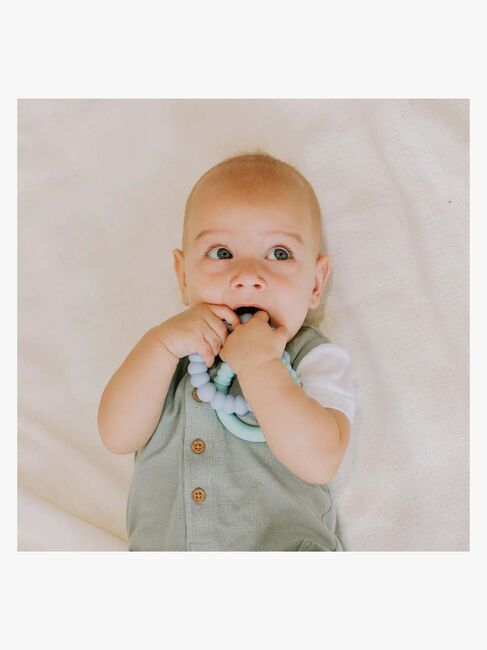 Jellystone Designs Sunshine Bitering, Nature