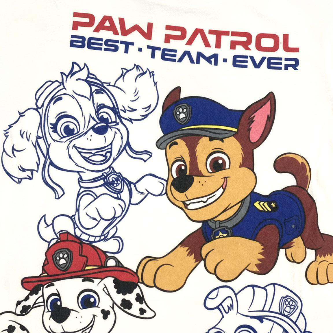 2900003124-PAWPATROL-4656_4b.jpg