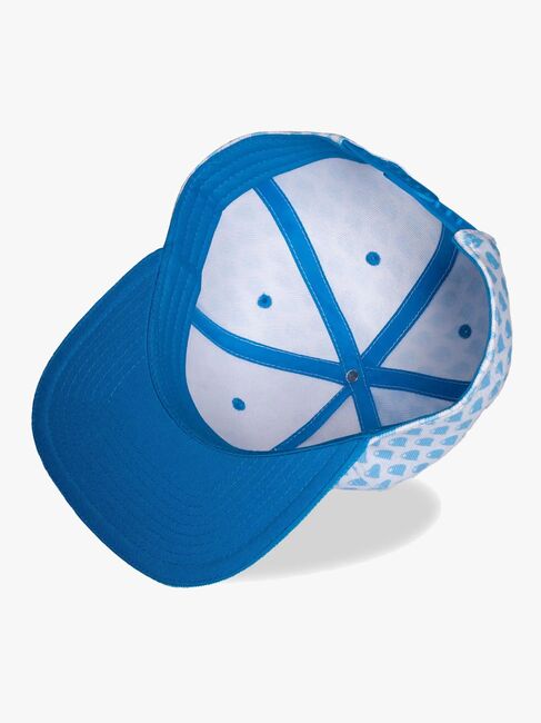 Pokémon Snapback Caps, Greninja