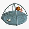babygym-RM1005484-1390_2.jpg