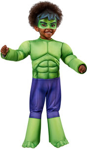 Marvel Avengers Kostyme Hulken