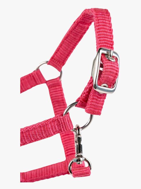 My Hobby Horse Grime, Rosa