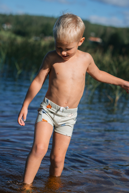 Lindberg Finn Badeshorts, Green