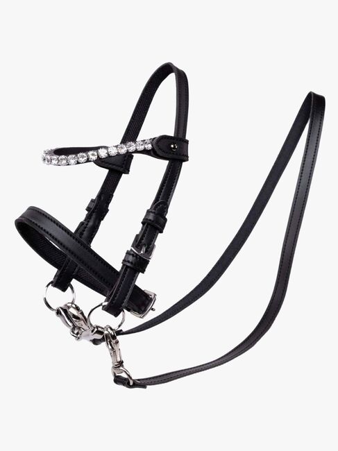 My Hobby Horse Hodelag med Silverstone, Brun