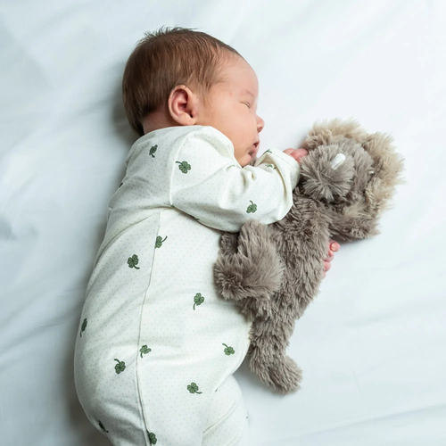 That's Mine Houston Tyngdekosedyr Dinosaur 0,13 kg