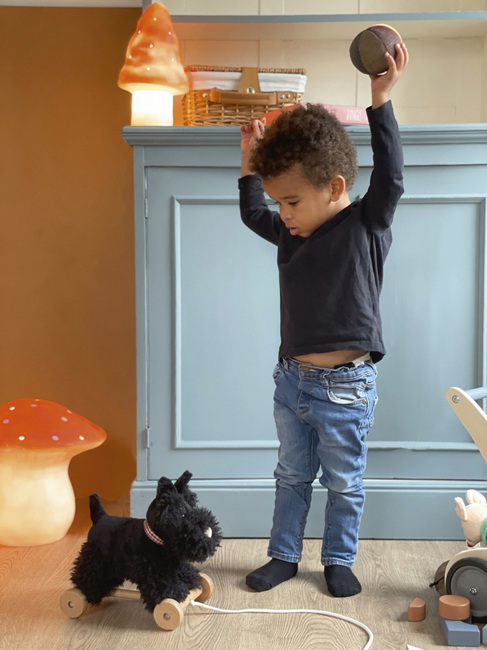 Egmont Toys Draleke Hund Walter