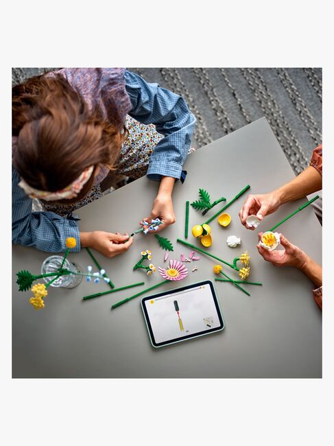 LEGO Botanicals 10347 Søt sommerbukett