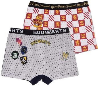 Harry Potter Boksershorts 2-pack