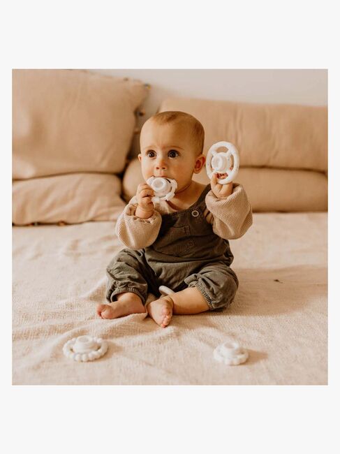 Jellystone Designs Stabler & Bitering, Regnbuefarget