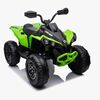 Can-Am Renegade Firhjuling, Grønn