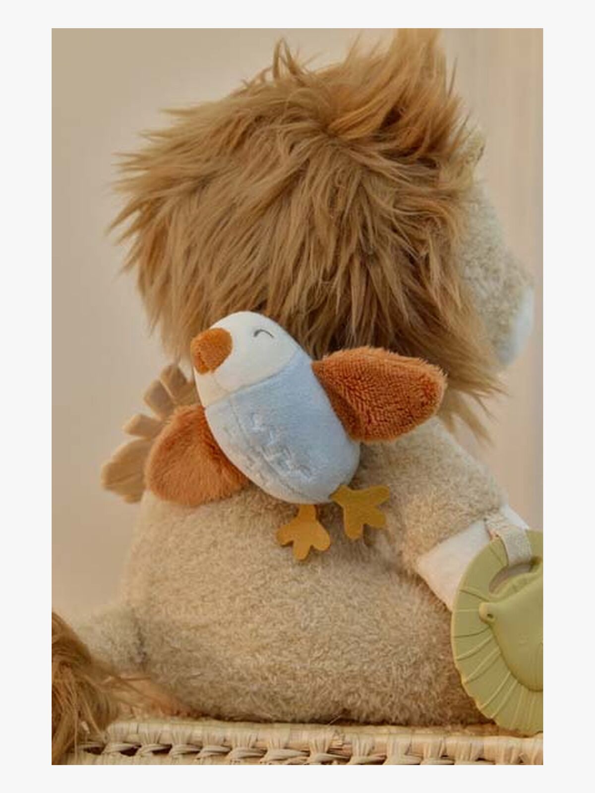 LD8321-lion-4563_3b.jpg