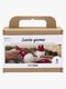 Creativ Company Hobbysett Filtnisse DIY
