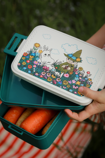 Mummitrollet Eng Matboks, Grønn