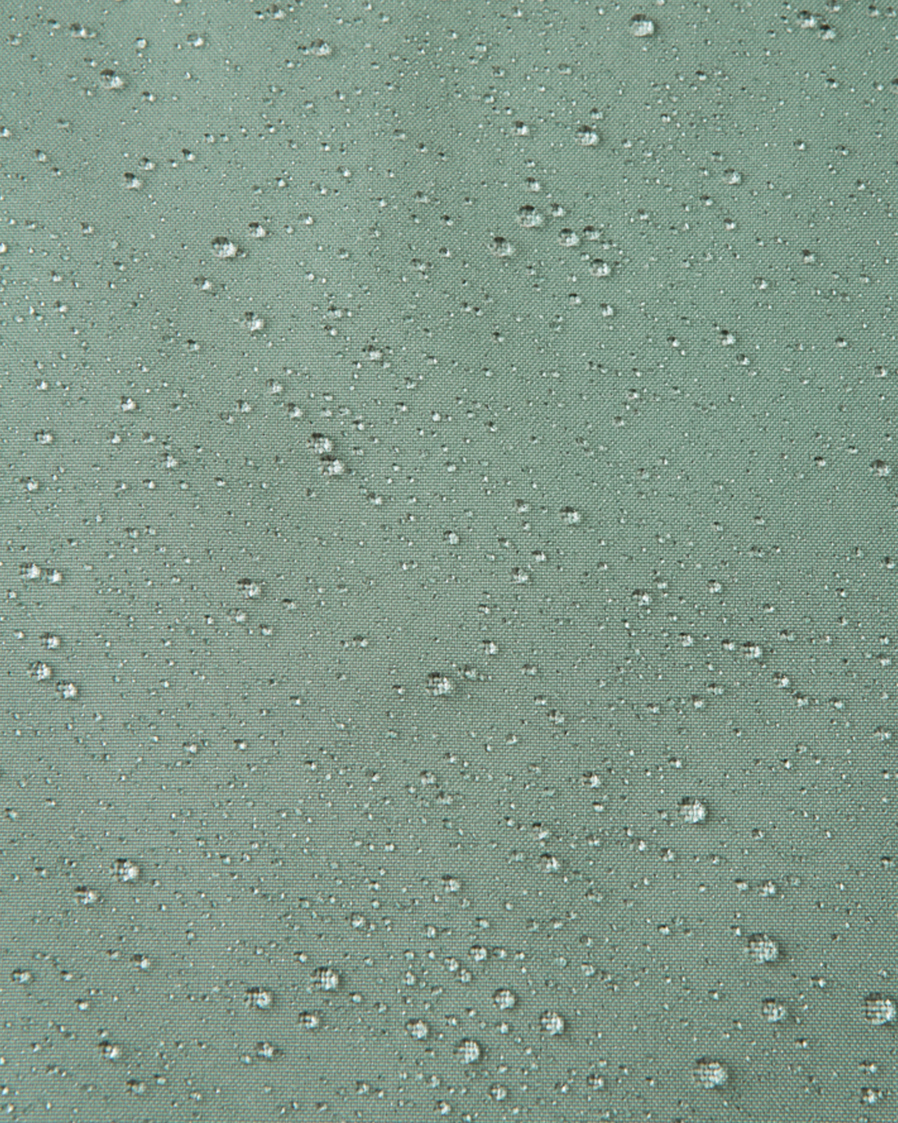 5100416A-81BA-1557_3e.jpg
