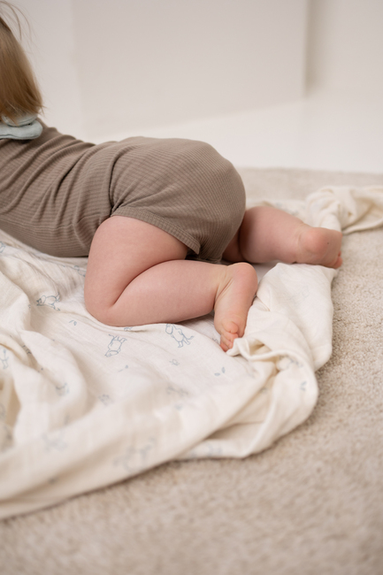 Mummitrollet Musselintepper 2-Pakk, Blue