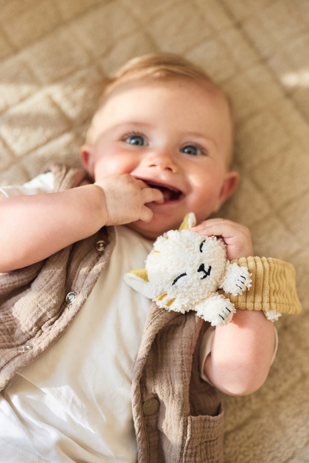 Jollein Håndleddsrangle, Charlie Cat