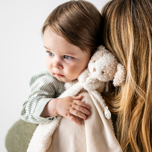 Nattou Teddy Koseklut Hund, Vanilla