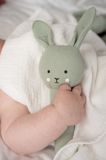 Jabadabado Bunny Rangle Gavesett, Grønn