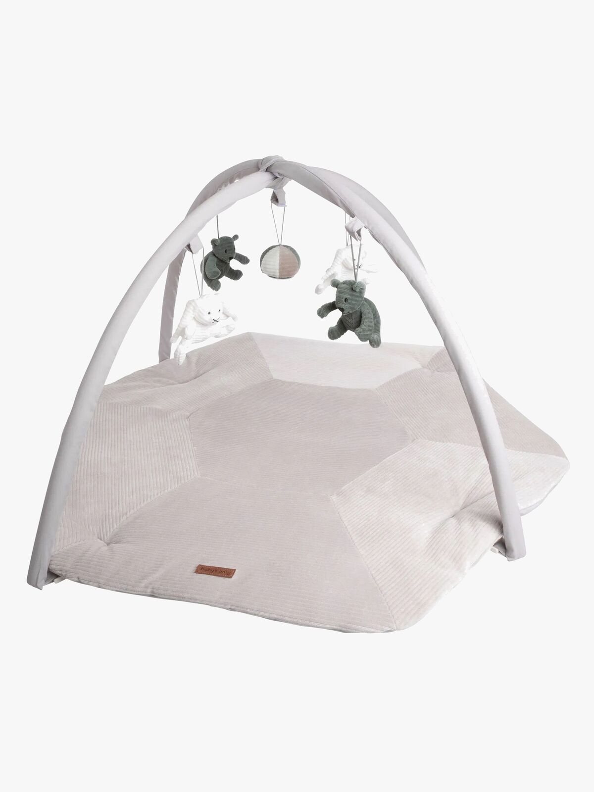 Baby's Only Sense Babygym