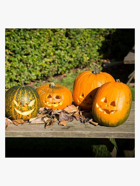 Creativ Company Halloween Gresskar Skjæresett