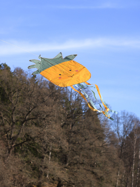 Jabadabado Drage Ananas