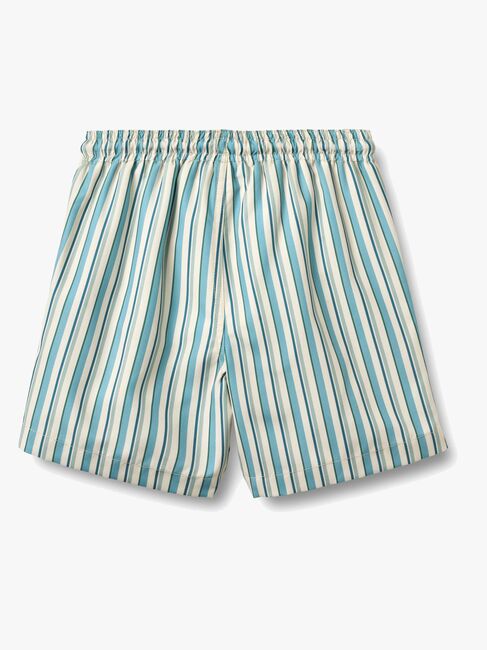 Wheat Hansi Badge Badeshorts, Aqua Stripe