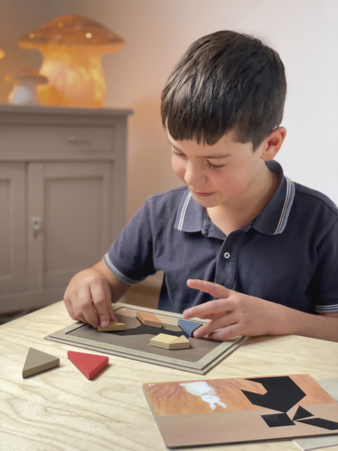 Egmont Toys Magnetisk Tangramspill