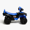7020683-BLUE-2896_3b.jpg