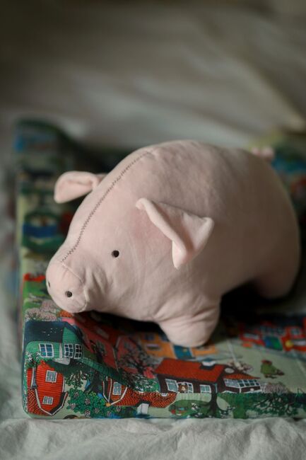 Lotta i Bråkmakergata Teddy Kosedyr Gris, Rosa