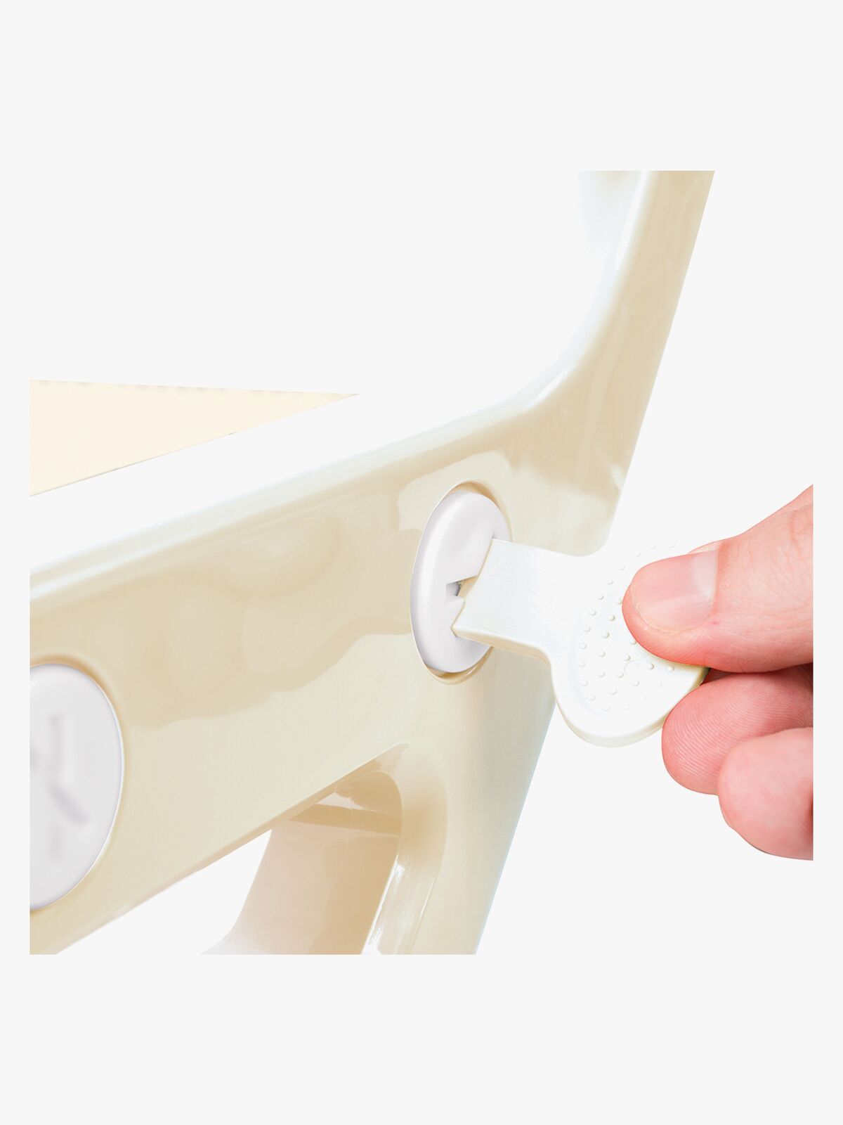 Dotostege-7241-3667_3d.jpg