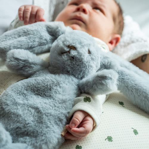 That's Mine Houston Tyngdekosedyr Kanin 0,13 kg, Blå