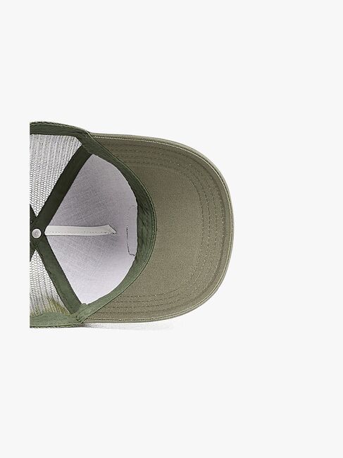 Nordbjørn Hyltenäs Kaps, Grønn