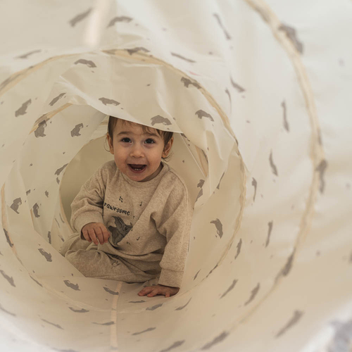 That's Mine Theo Leketunnel Bees and bears