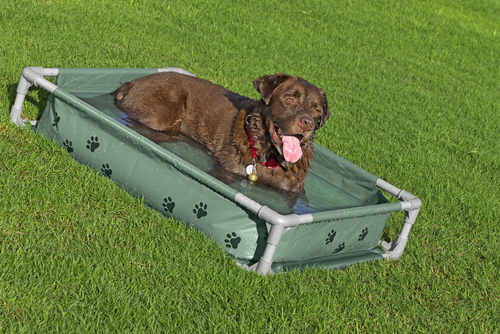 Bestway Dyrebasseng Fetchin' Fun 2-i-1