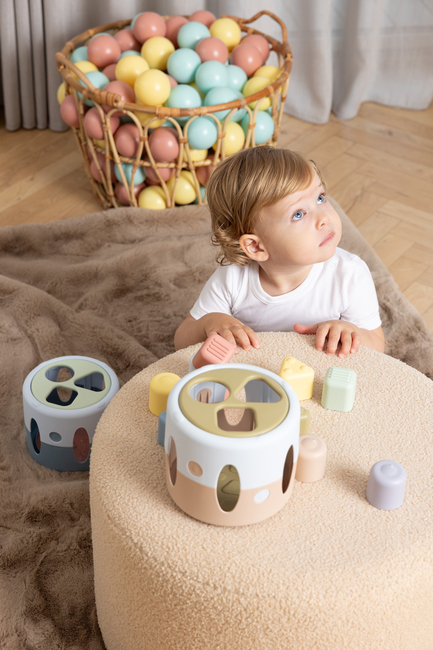 Dantoy Fairytales Sorteringsboks