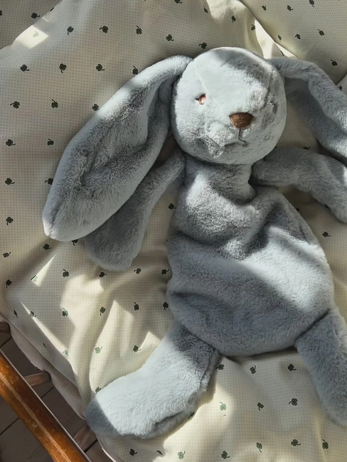 That's Mine Houston Tyngdekosedyr Kanin 0,8 kg, Blå