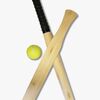 SportMe Dødball Grip Wood Sett