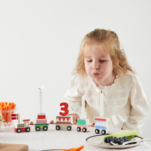 Barbo Toys Bursdagstog i Tre