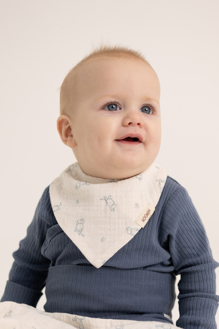 Mummitrollet Tøysmekker 2-Pakk, Blue