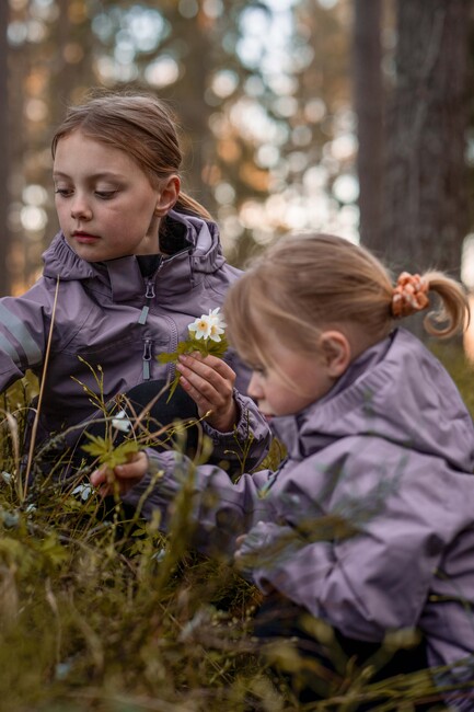 Lindberg Lingbo Skalljakke, Lavender