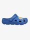302003-Blue-1896_1.jpg