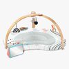 Skip Hop Discoverosity Babygym