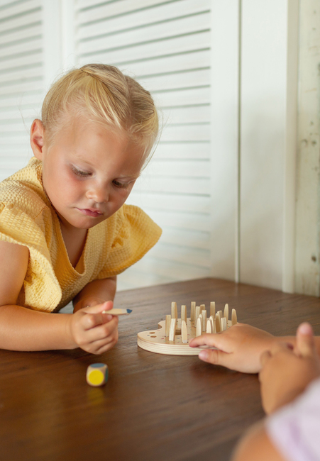 BS Toys Paintbrush Memospill