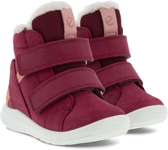 Ecco Sp.1 Lite Infant GTX Fôret Sneaker, Morillo