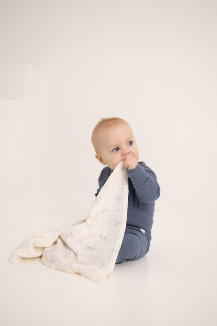 Mummitrollet Musselintepper 2-Pakk, Blue